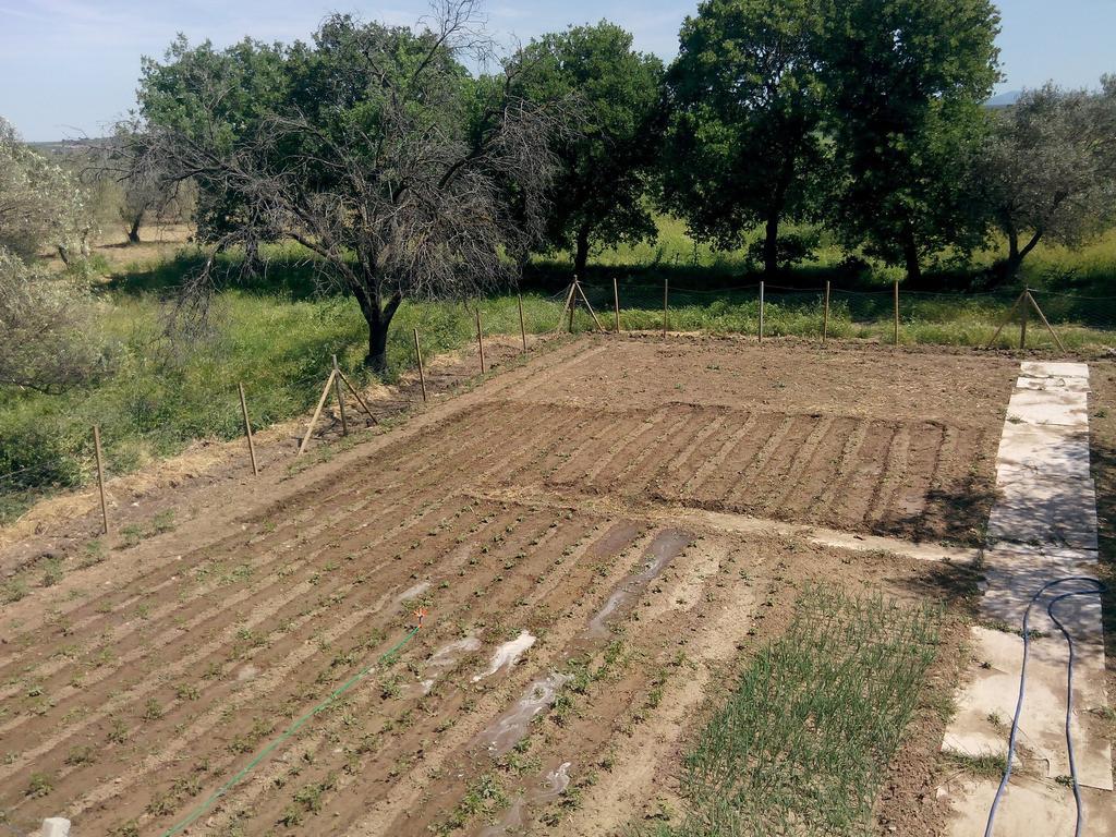 Geyikli Herrara מראה חיצוני תמונה